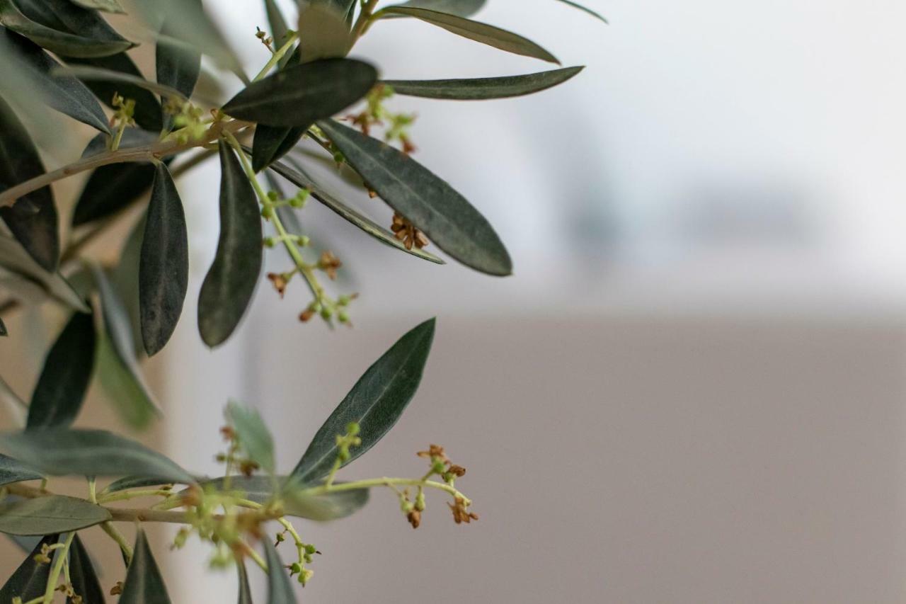 Principe Real Apartment Lisboa Εξωτερικό φωτογραφία